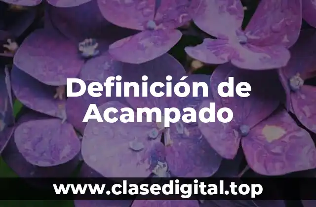 Definición de Acampado