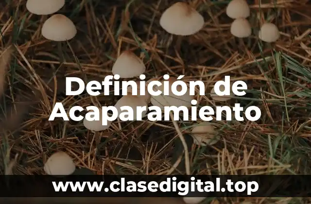 Definición de Acaparamiento