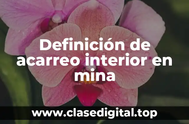 Definición de acarreo interior en mina