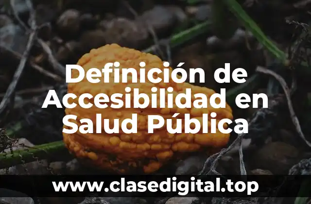 Definición de Accesibilidad en Salud Pública