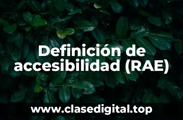 Definición de accesibilidad (RAE)