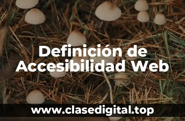 Definición de Accesibilidad Web