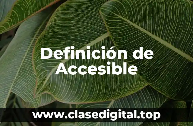📗 Definición técnica de Accesible