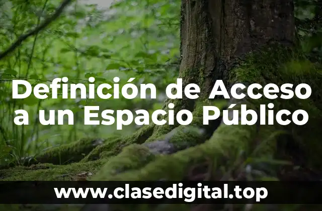 Definición de Acceso a un Espacio Público