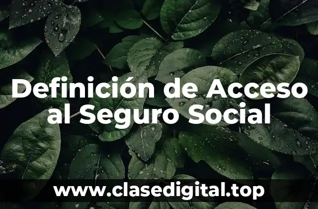 Definición de Acceso al Seguro Social