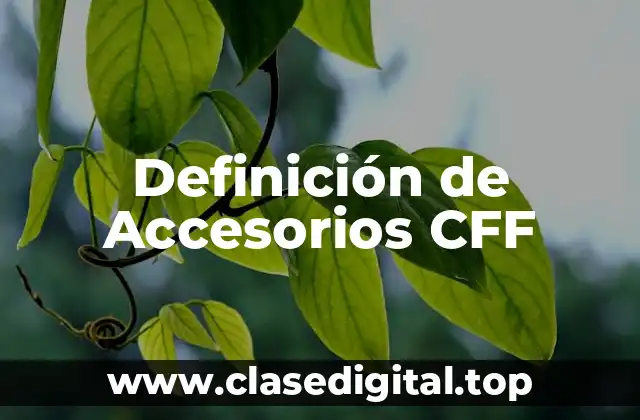 Definición de Accesorios CFF