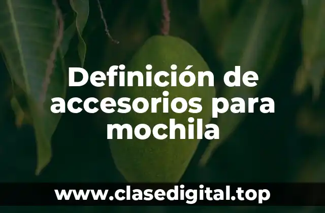 Definición de accesorios para mochila