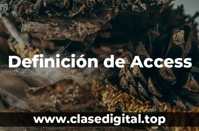 ☄️ Definición técnica de acceso