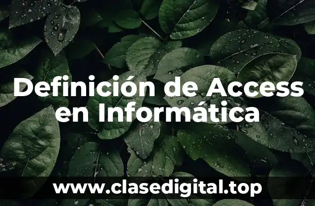 Definición de Access en Informática