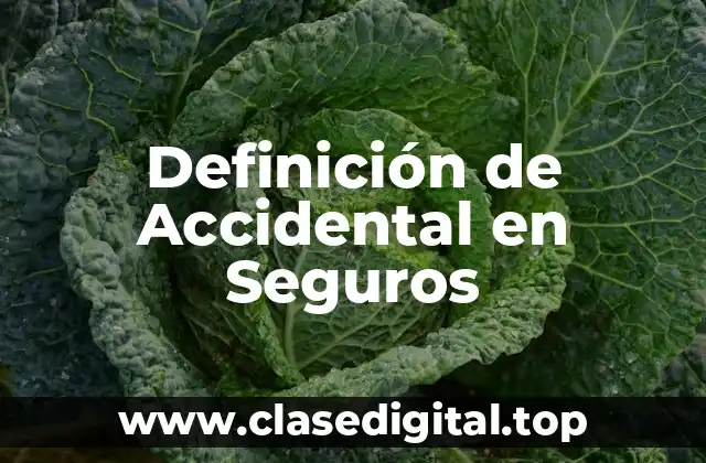 Definición de Accidental en Seguros