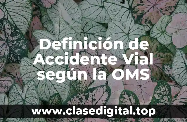 Definición de Accidente Vial según la OMS