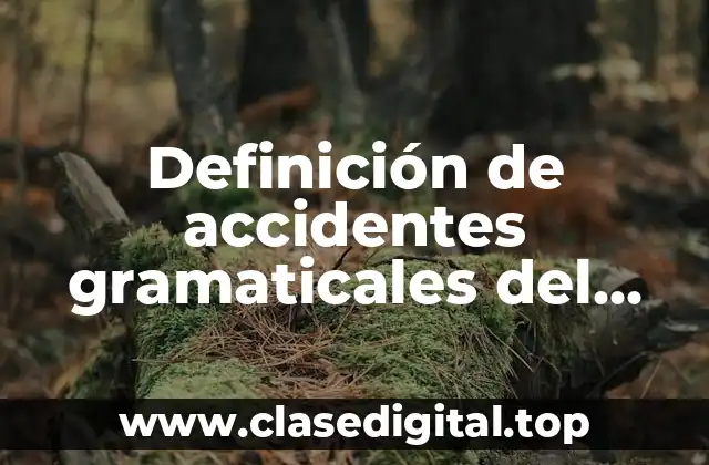 Definición de accidentes gramaticales del artículo