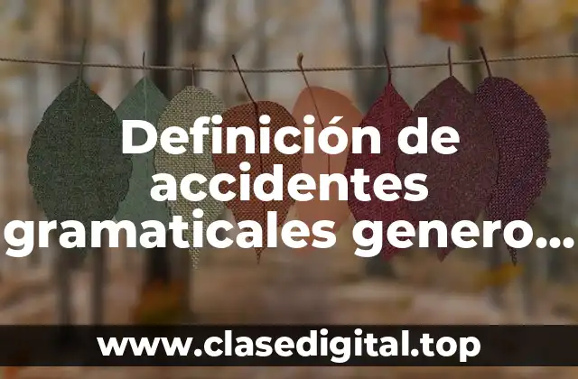 Definición de accidentes gramaticales genero y numero
