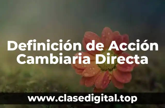 ✳️ Definición Técnica de Acción Cambiaria Directa