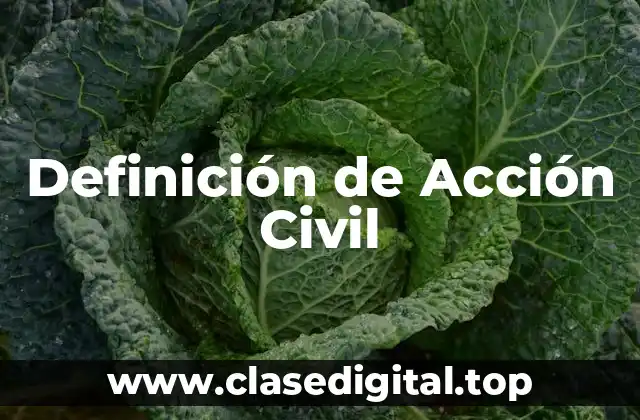 Definición de Acción Civil