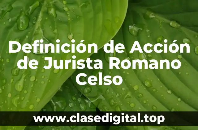 Definición de Acción de Jurista Romano Celso