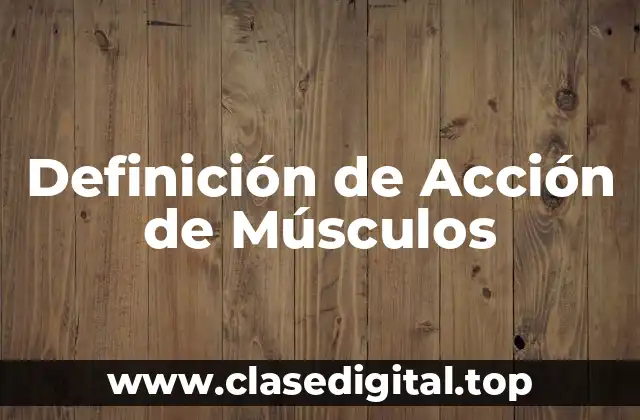 Ejemplos de Acción de Músculos