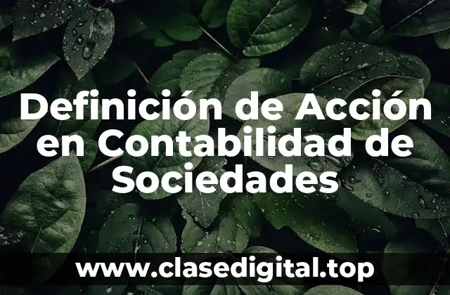 Definición de Acción en Contabilidad de Sociedades