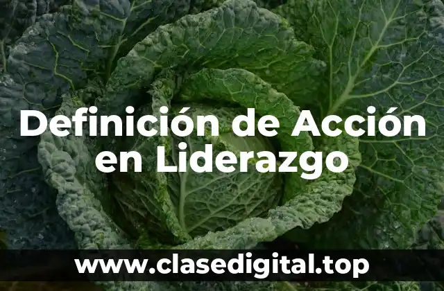 Definición de Acción en Liderazgo