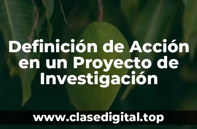 Definición de Acción en un Proyecto de Investigación