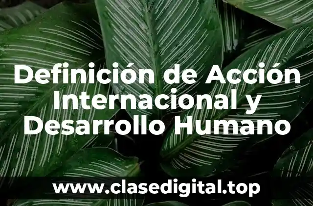Definición de Acción Internacional y Desarrollo Humano