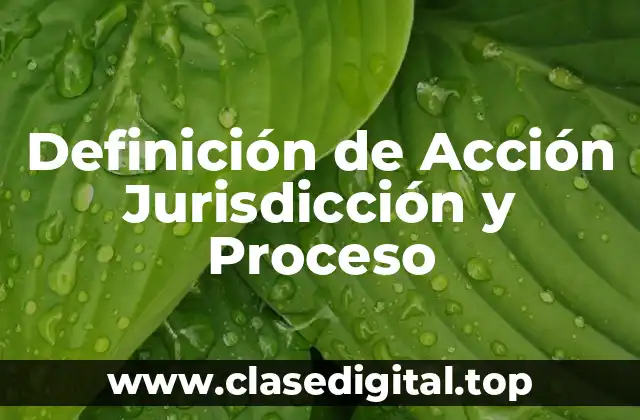 Definición de Acción Jurisdicción y Proceso