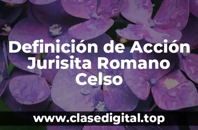 Definición de Acción Jurisita Romano Celso