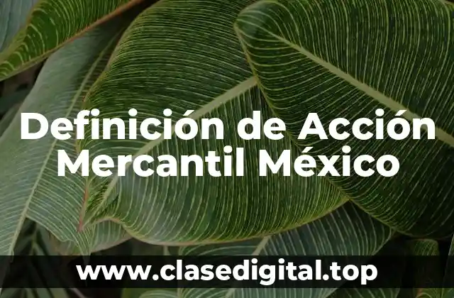 Definición de Acción Mercantil México