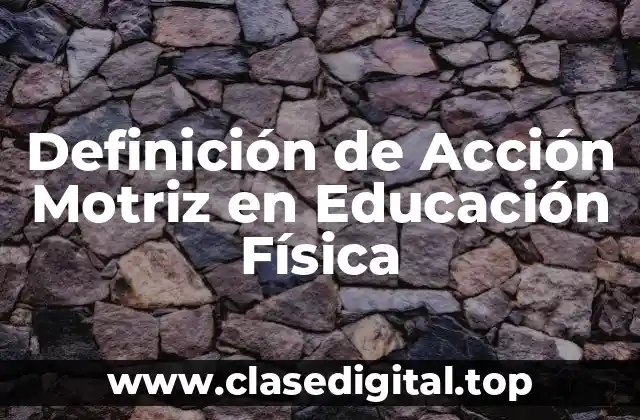 Definición de Acción Motriz en Educación Física