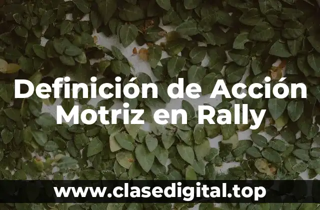 Definición de Acción Motriz en Rally