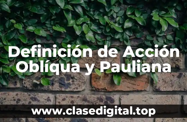 Definición de Acción Oblíqua y Pauliana