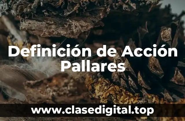 Definición de Acción Pallares