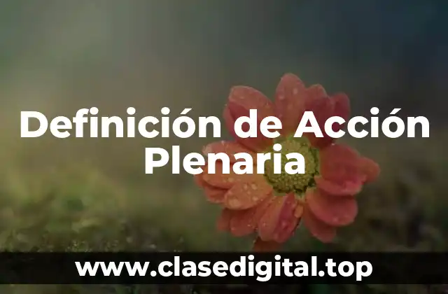 Definición de Acción Plenaria