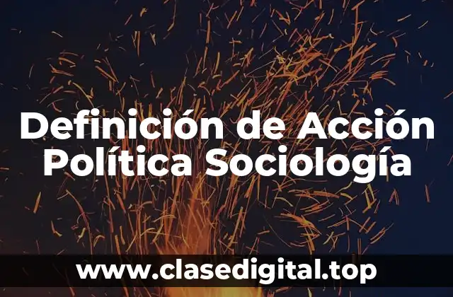 Definición de Acción Política Sociología
