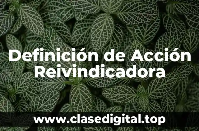 Definición de Acción Reivindicadora
