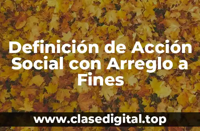 Definición de Acción Social con Arreglo a Fines