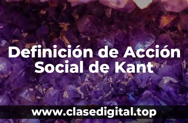 Definición de Acción Social de Kant