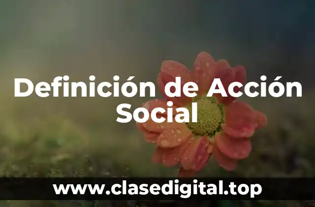 Definición de Acción Social