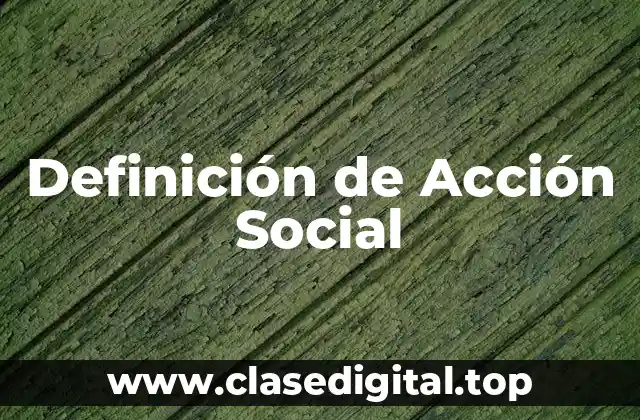 Definición de Acción Social