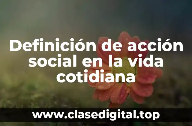 Definición de acción social en la vida cotidiana