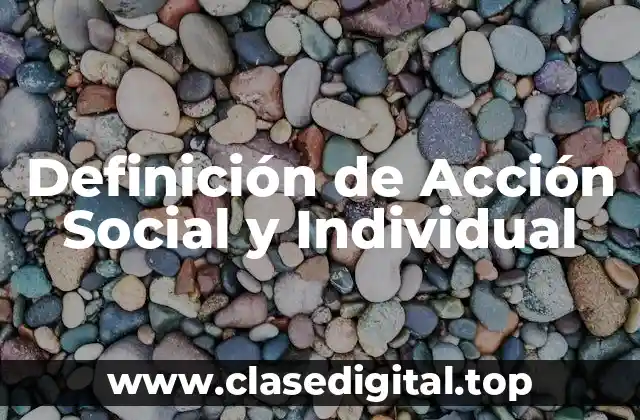 Definición de Acción Social y Individual
