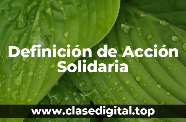 Definición de Acción Solidaria