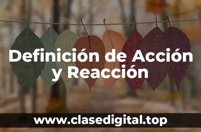 ☄️ Definición técnica de Acción y Reacción