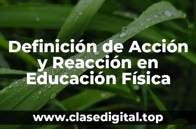 Definición de Acción y Reacción en Educación Física