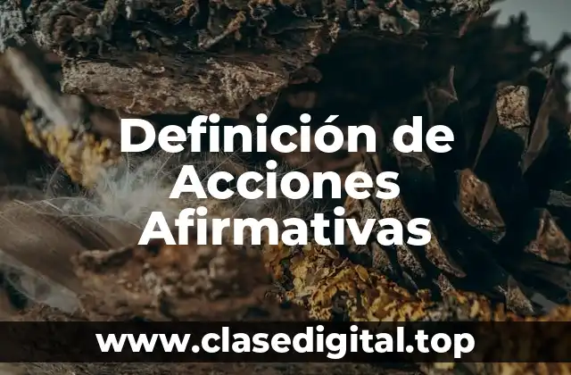 📗 Definición Técnica de Acciones Afirmativas