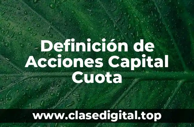 Definición de Acciones Capital Cuota