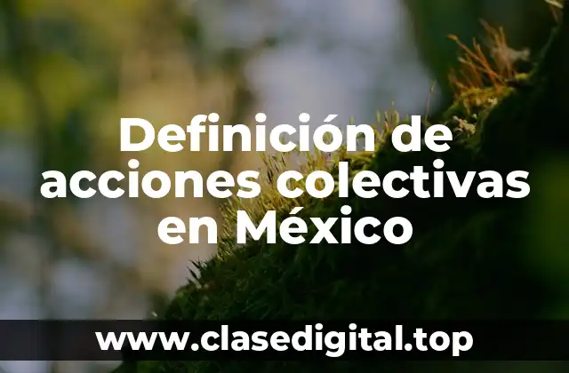Definición de acciones colectivas en México