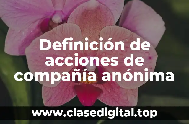 Ejemplos de acciones de compañía anónima
