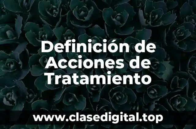 Definición de Acciones de Tratamiento