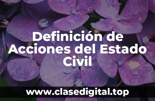 📗 Definición Técnica de Acciones del Estado Civil